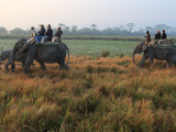 Klienti na slonech, NP Kaziranga (Indie, Michal Čepek)