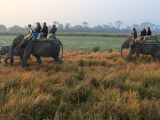 Klienti na slonech, NP Kaziranga (Indie,  Michal Čepek)
