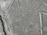 Obrazec pavouka, Nazca (Peru, Shutterstock)