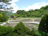 Pole připravená na osázení rýží (Japonsko, Mgr. Václav Kučera)