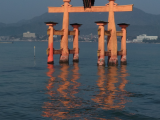 Torii u svatyně na ostrově Itsukushima (Japonsko, Mgr. Václav Kučera)