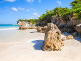 Pláž Macao Beach (Dominikánská republika, Dreamstime)