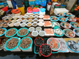 Mořské plody, rybí trh Jagalchi, Pusan (Jižní Korea, Dreamstime)
