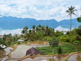 Rýžové terasy, jezero Maninjau (Indonésie, Dreamstime)