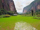 Údolí Harau (Indonésie, Dreamstime)