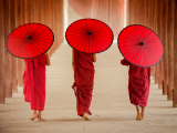 Barmští mniši s deštníky, ulice Baganu (Barma, Dreamstime)
