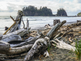 La Push, Forks (USA, Dreamstime)