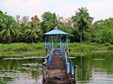 NP Sundarbans (Bangladéš,  Dreamstime)