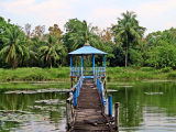 NP Sundarbans (Bangladéš, Dreamstime)