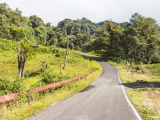 Stezka Quetzal Trail, údolí Boquete (Panama, Dreamstime)