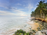 Point Pedro, Jaffna (Srí Lanka, Dreamstime)