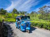 Tuk tuk mezi čajovými plantážemi (Srí Lanka, Dreamstime)