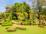 Královské botanické zahrady Peradeniya (Srí Lanka, Dreamstime)