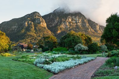 Botanická zahrada Kirstenbosch (Jihoafrická republika, Pixabay.com)