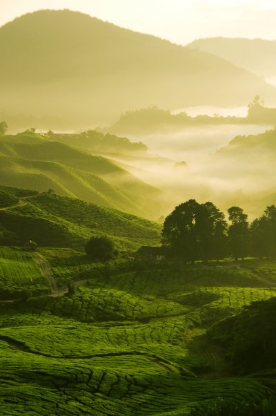 Malajsie (Malajsie, Shutterstock)