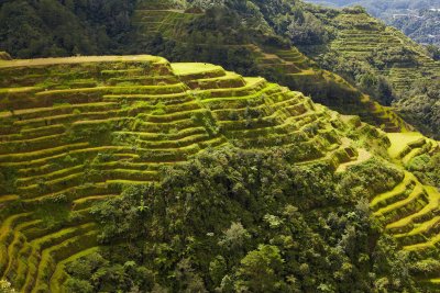 rýžové terasy, Banaue (Filipíny, Shutterstock)