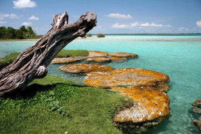 Laguna Bacalar (Mexiko, Shutterstock)