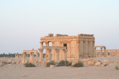 Palmyra (Sýrie, Ing. Katka Maruškinová)