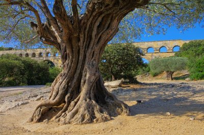 Pont-du-Gard (Francie, Dreamstime)