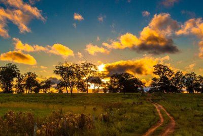 Pantanal 2 (Brazílie, Dreamstime)