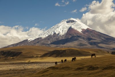 NP Cotopaxi (Ekvádor, Dreamstime)