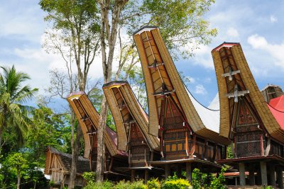 Tongkonan, Toraja, Sulawesi (Indonésie, Dreamstime)