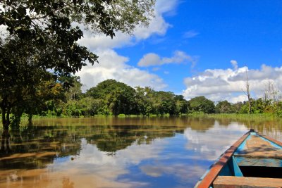 Amazonie, Leticia (Kolumbie, Dreamstime)