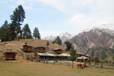 Fairy Meadows, Nanga Parbat (Pákistán, Dreamstime)