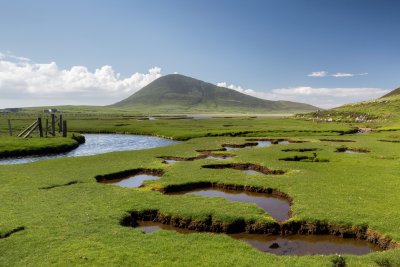 Rašeliniště, ostrov Harris (Skotsko, Dreamstime)