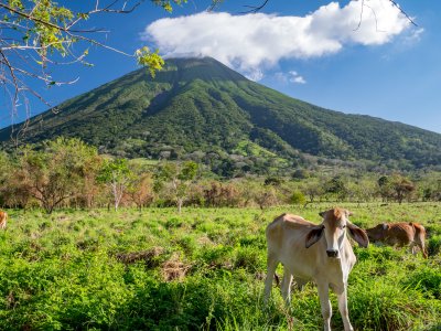 Ostrov Ometepe (Nikaragua, Dreamstime)