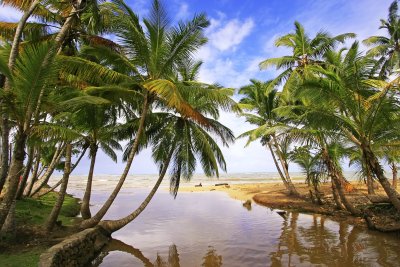 Pláž Las Terrenas (Dominikánská republika, Dreamstime)