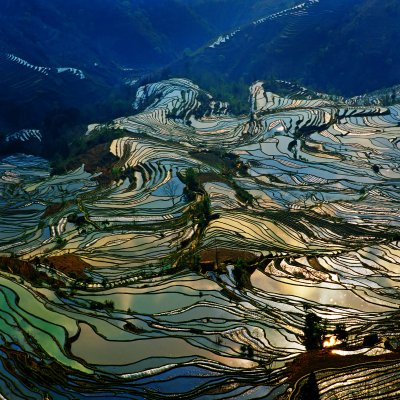 Starověké rýžové terasy v Yuanyangu (Čína, Dreamstime)