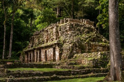 Starověká mayská budova, Yaxchilan (Mexiko, Dreamstime)