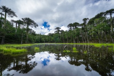 Jezero Los Patos v NP Huerquehue (Chile, Dreamstime)