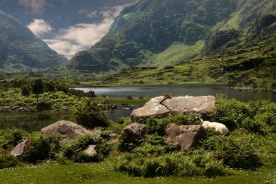 Gap of Dunloe (Irsko, Dreamstime)