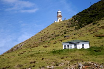 The Bay of Islands (Nový Zéland, Dreamstime)