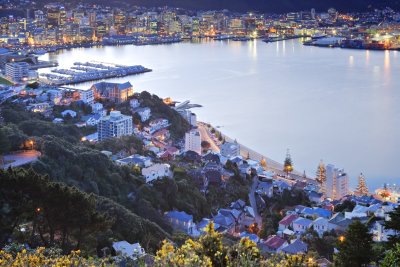 Wellington (Nový Zéland, Dreamstime)