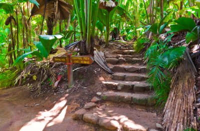 Vallée de Mai, NP Praslin (Seychely, Dreamstime)