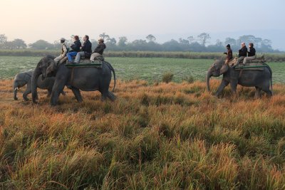 Klienti na slonech, NP Kaziranga (Indie, Michal Čepek)