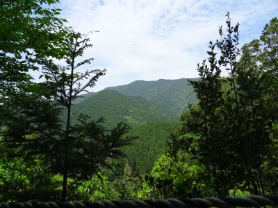 Pohled na jarní hory na Kjúšú (Japonsko, Mgr. Václav Kučera)
