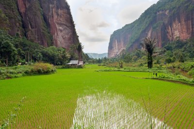 Údolí Harau (Indonésie, Dreamstime)