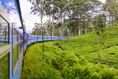 Vlakem čajovou plantáží Nuwara Eliya (Srí Lanka, Dreamstime)