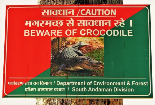 Andamany - Krokodýl (Indie, Jaromír Červenka)