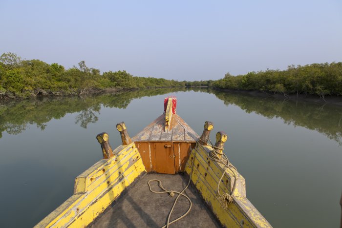 NP Sunderbans (Bangladéš, Shutterstock)