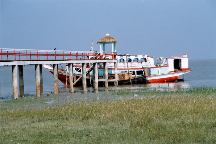 Sunderbans (Jaromír Červenka)