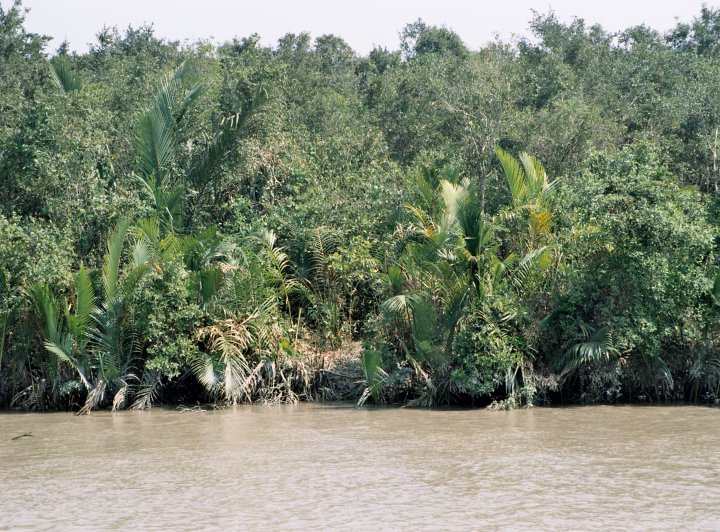 Neviditelní tygři Sundarbanu (1. část)